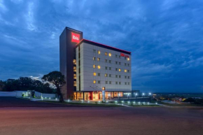 ibis Guaiba